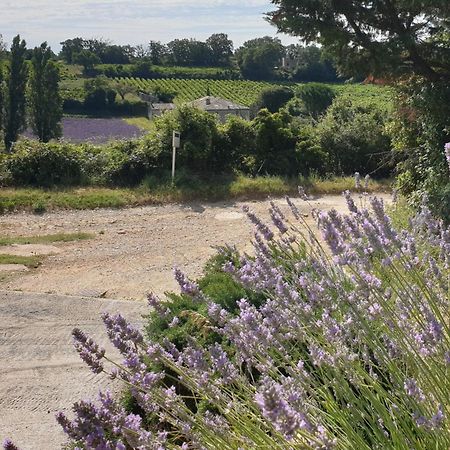 Le Clos Du Grand Chene - Gites 4 Etoiles - Saint-Marcel-d'Ardeche Dış mekan fotoğraf