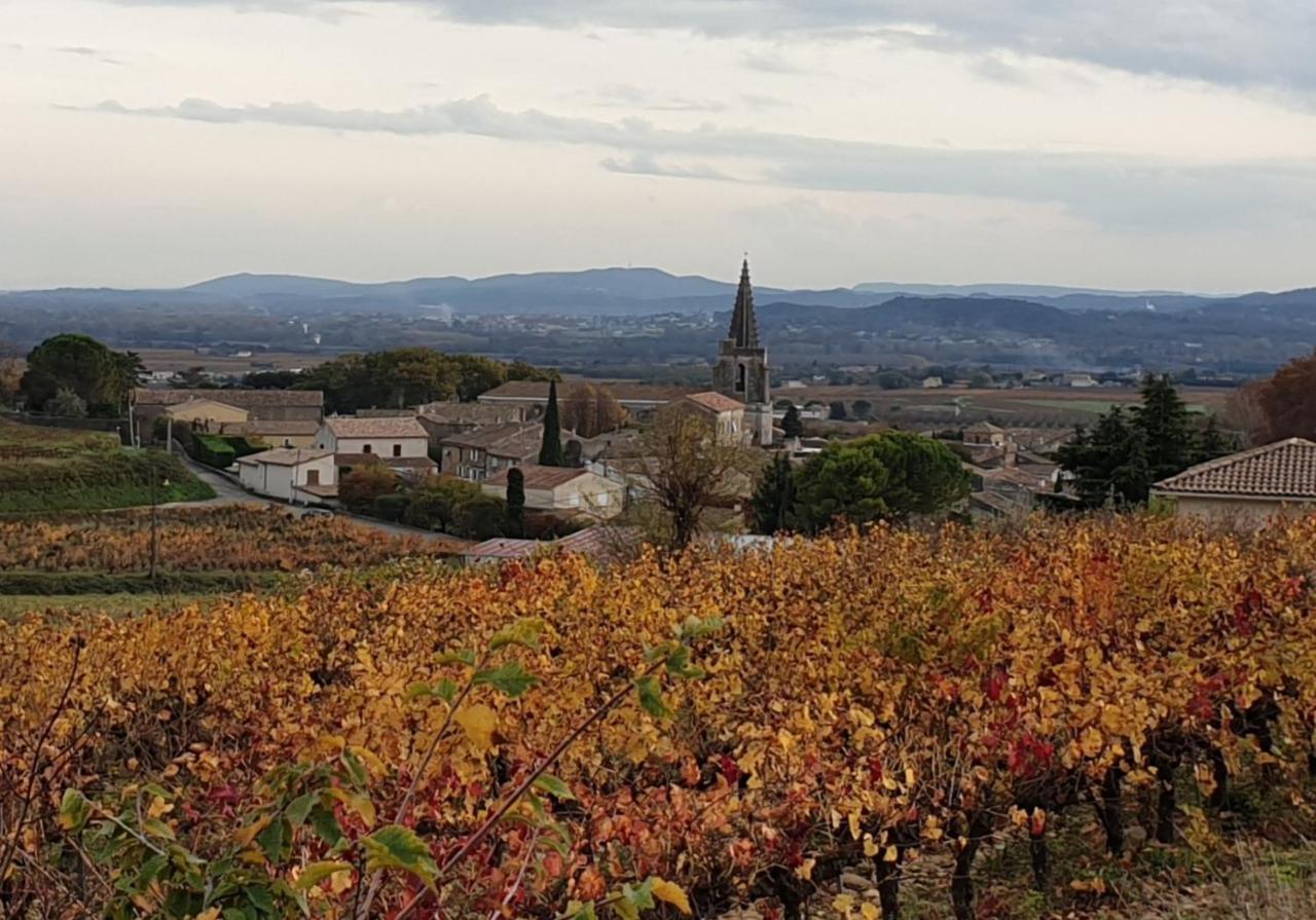 Le Clos Du Grand Chene - Gites 4 Etoiles - Saint-Marcel-d'Ardeche Dış mekan fotoğraf